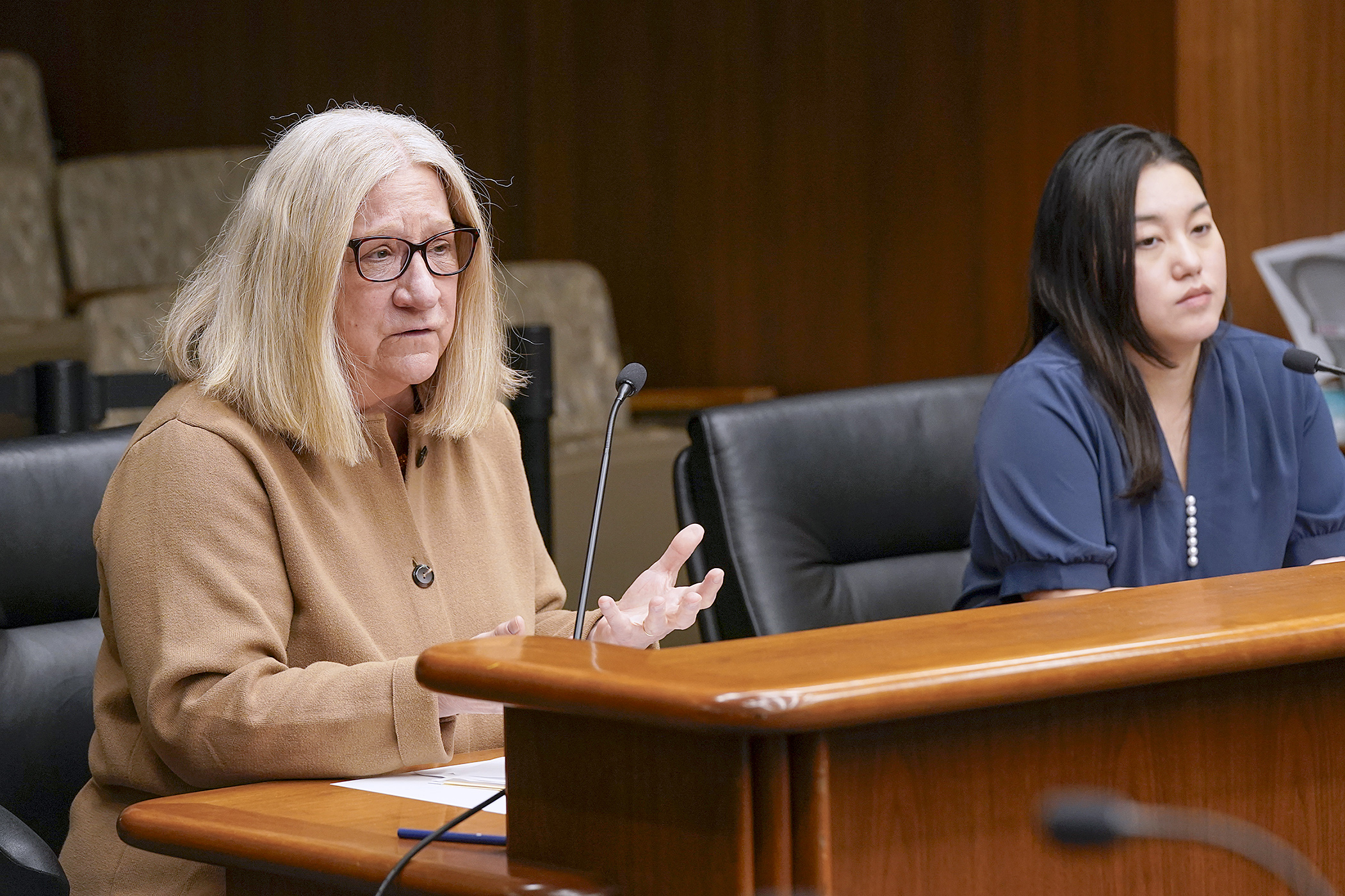 Sue Abderholden, executive director of NAMI Minnesota, testifies March 18 in support of HF4563. Sponsored by Rep. Samantha Vang, the bill would establish the Mental Health and Substance Use Disorder Education Center. (Photo by Michele Jokinen)